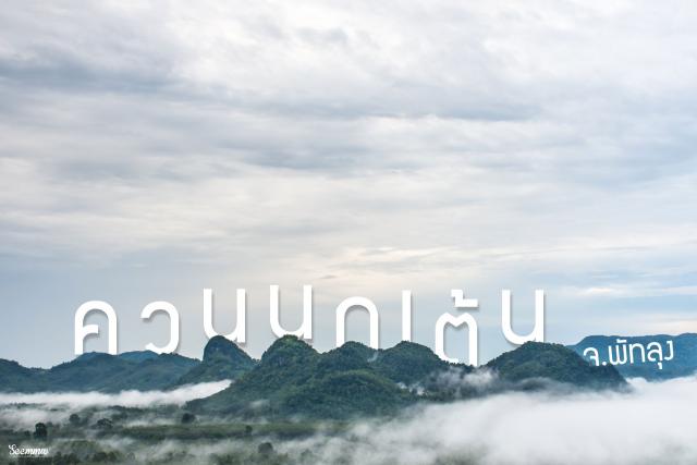 ควนนกเต้น