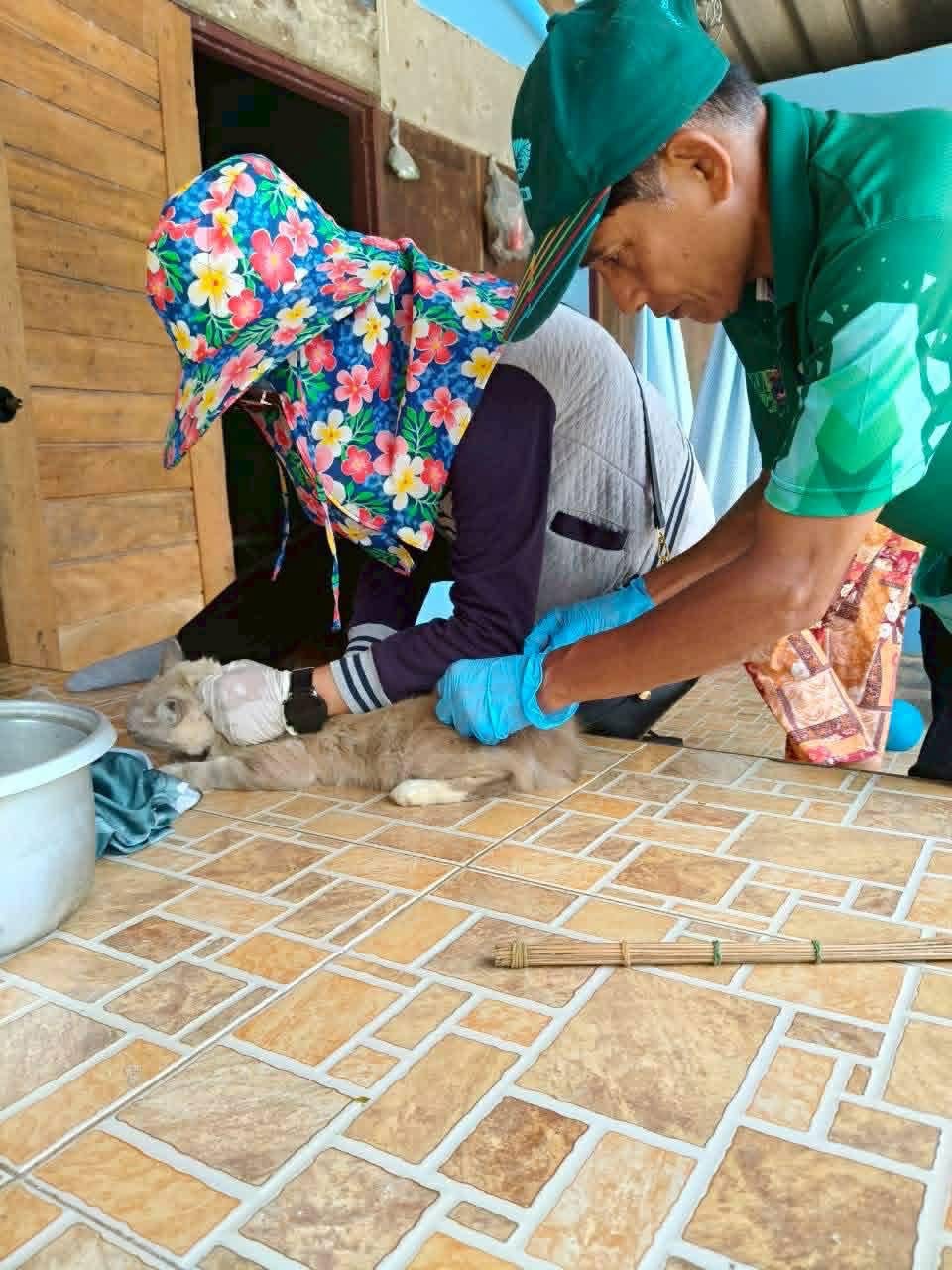 "โครงการ สัตว์ปลอดโรค คนปลอดภัย จากโรคพิษสุนัขบ้า" 🐕🐈 💉